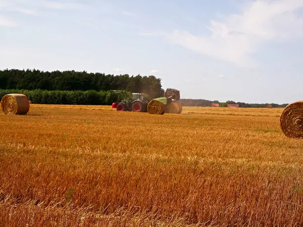 stock image Hay bales harvest in the field in the Uckermark