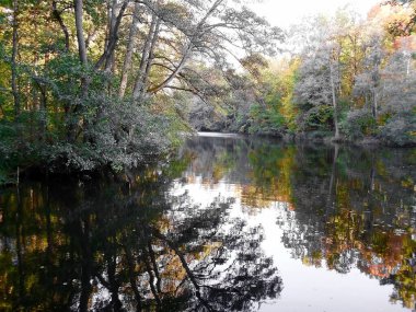 Lakes, forests and moors in the Uckermark clipart