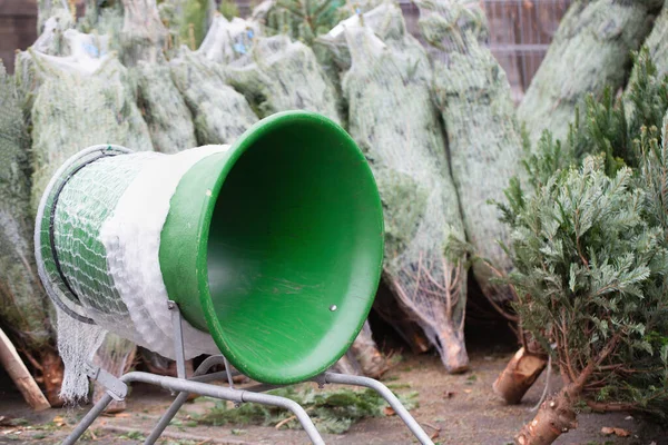 Pines Blue Netting Tube Farm Market People Buying Christmas Tree — Stock Photo, Image