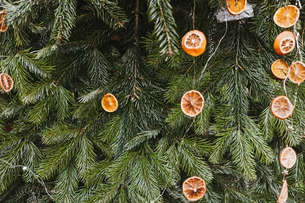 圣诞树上用干橙片做的天然装饰 暗淡的圣诞食品装饰 再循环 再利用和零废物概念 有选择的重点 — 图库照片