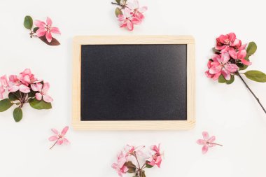 Empty message black board and fresh spring red flowers on white background. Spring, school, sales concept, message board mock up. Minimalist flat lay, top view, copy space