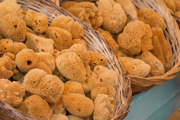 Yunanistan 'ın Suriye adasındaki yerel pazarda doğal sarı ve kahverengi banyo süngeri. Seçici odak