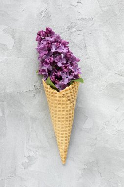 Fresh pink lilac flowers in waffle ice cream cone on gray background. Flat lay, top view, copy space, spring abstract floral background.