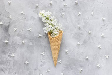 Fresh white lilac flowers in waffle ice cream cone on gray background. Flat lay, top view, copy space, spring abstract floral background.