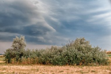 The weather before the rain is nature and inclement weather.