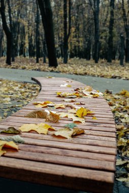 Gece gündüz Kharkov 'daki Central Park.