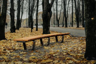 Gece gündüz Kharkov 'daki Central Park.