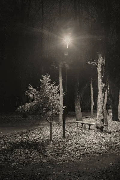 Gece Gündüz Kharkov Daki Central Park — Stok fotoğraf