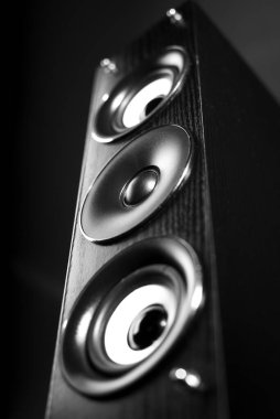 Modern bir ses hoparlörünün zarif tasarımı ve işçiliğinin vurgulandığı siyah-beyaz bir yakın çekim..