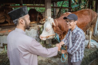 the male farmer standing in front of the cows stable and hand shake with the moslem man while holding the cows bridle at his left hand