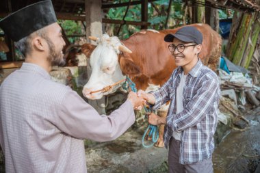 the male farmer with eyeglasses standing in front of the cows stable with the cow standing next to him and hand shake with the moslem man