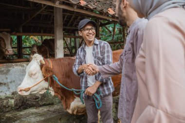 the male farmer with eyeglasses holding the cows bridle at his left hand and hand shake with the man with beard that buying his cow for eid al adha