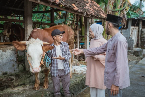 a male farmer pointing on the cow and showing the cow to the moslem man and woman with hijab that standing in front of him