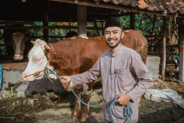 a moslem man with skullcap standing holding the cows bridle in front of the cows stable