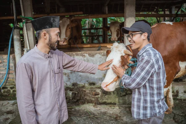 the moslem man with skullcap standing in front of the cows stable and stroking the cows head that holded by the male farmer