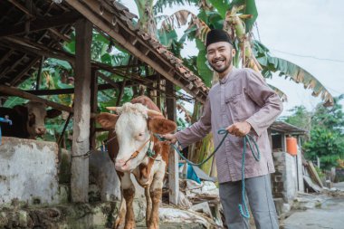 a moslem man with skullcap standing in front of the cows stable and holding the cows bridle that standing next to him