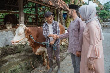 the moslem man with skullcap standing and hand shake with the male farmer that holding the cows bridle at his left hand in front of the cows stable