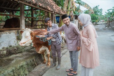 the moslem man standing and pointing on the cow while looking and smiling at the beautiful woman with hijab that standing beside her