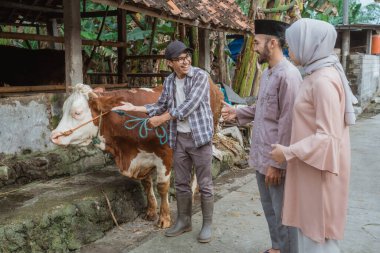 the moslem man standing with thumb up next to the woman with hijab while looking at the cow that brought by the male farmer