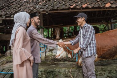the male farmer holding the cows bridle at his left hand and hand shake with the moslem man with skullcap that buying his cow for eid al adha
