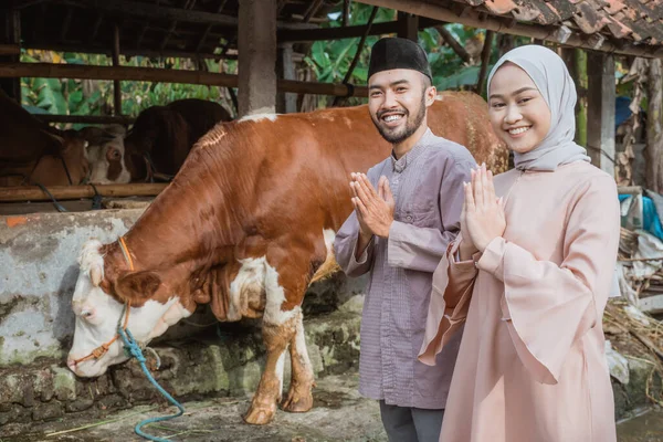 a moslem man and the woman with hijab standing with hands put together in front of the cows stable with the brown cow standing next to them