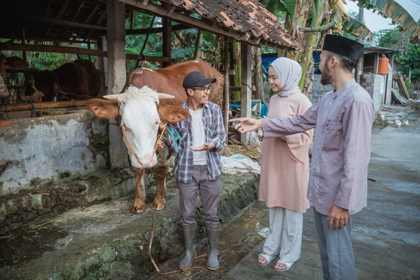 the moslem man with skullcap standing next to the woman with hijab and pointing on the cow that holded by the male farmer