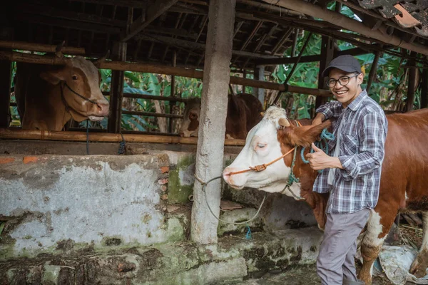 a male farmer in white t shirt and plaid shirt standing outside the cows stable with thumb up and lean on the cow that standing beside him