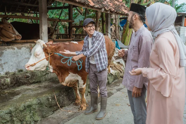 the male farmer with boots pointing on the cow and showing the cow to the moslem man and the woman with hijab