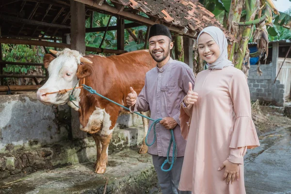 a moslem man and the woman with hijab standing with thumbs up in front of the cows stable with the brown cow standing next to them