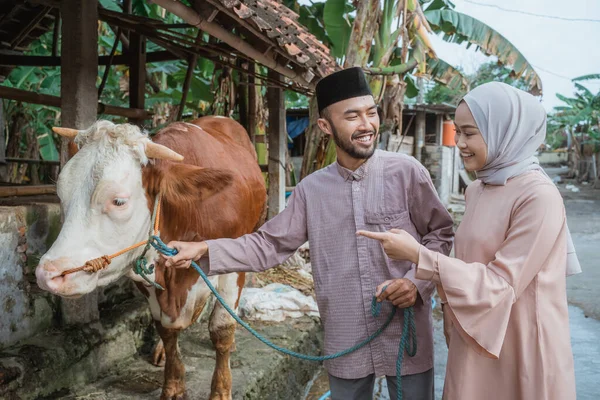 a woman with hijab standing next to the moslem man with skullcap that holding the cows bridle and pointing on the cow