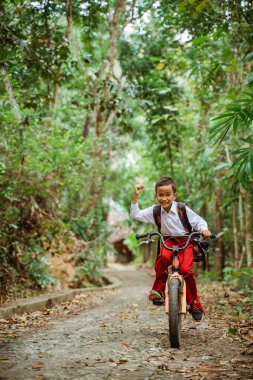 Erkek bir ilkokul öğrencisi bisikletini şehir yolunda sürerken kolunu bir sürü ağaçla sıktı.