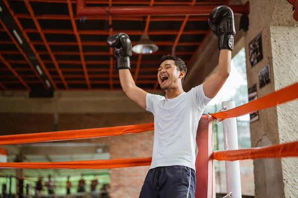 Boxeador Masculino Feliz Levantando Mãos Dentro Anel Caixa — Fotografia de Stock