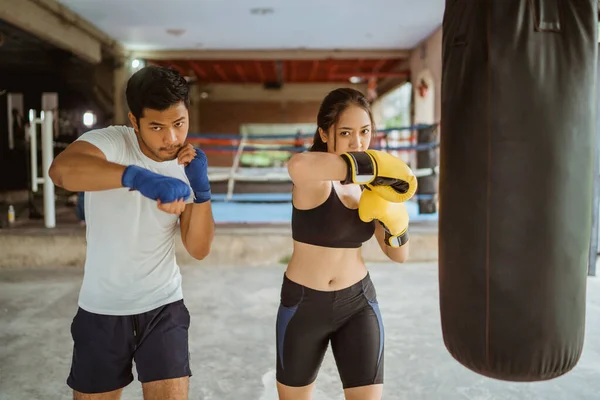 Dois Boxeador Atraente Com Movimentos Boxe Torno Dos Sacos Pesados — Fotografia de Stock