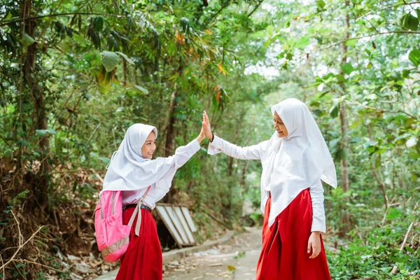 2人の女子小学生が田舎道を歩き — ストック写真