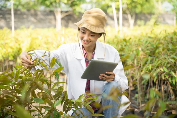An Asian Agriculturist Woman collects data on plant cultivation from seeds to measure the growth rate in the plantation.