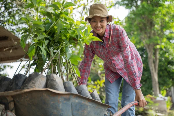 農家の女の子は 植林地でホイールバローを使用して木の苗を運ぶ上で曲げ — ストック写真