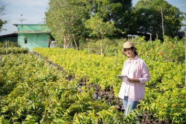 Modern bir kadın çiftçi fidanlığın ortasında bir yastık kullanıyor.