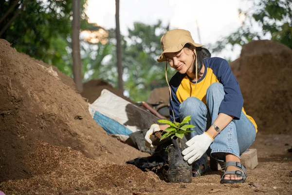 Női Gazdák Kesztyűt Viselnek Amikor Növényi Magokat Ültetnek Poliszzsákokba Gyerekszobában — Stock Fotó