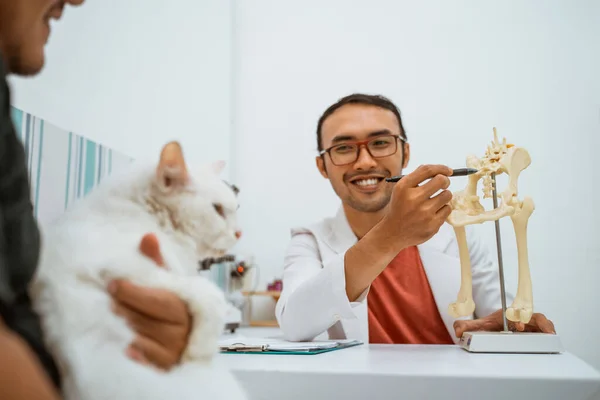 一只英俊的兽医 戴着眼镜 在白猫和它的主人面前展示骷髅 解释原因 — 图库照片