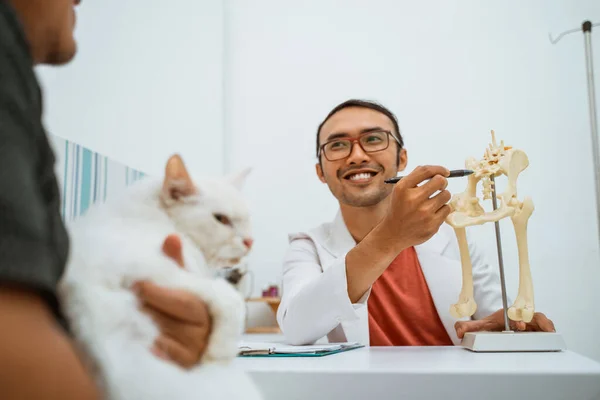 一只英俊的兽医 戴着眼镜 在白猫和它的主人面前展示骷髅 解释原因 — 图库照片
