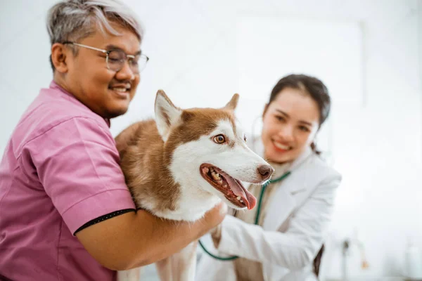 Veterano Masculino Segurando Cão Siberiano Com Sorriso Seu Rosto — Fotografia de Stock