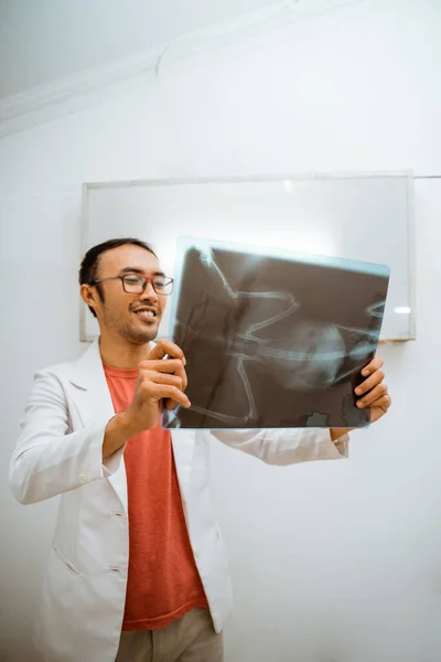 Egy Jóképű Állatorvos Szemüveg Orvosok Kabát Megfigyelése Röntgen Eredményt Mosolyogva — Stock Fotó