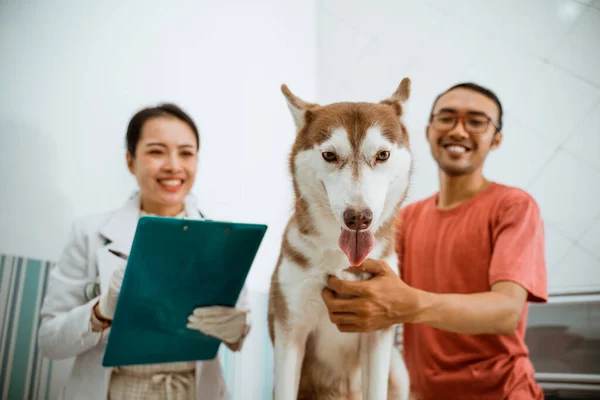 Sibiřský Pes Stojící Kovovém Stole Zatímco Jeho Majitel Veterinář Stojí — Stock fotografie