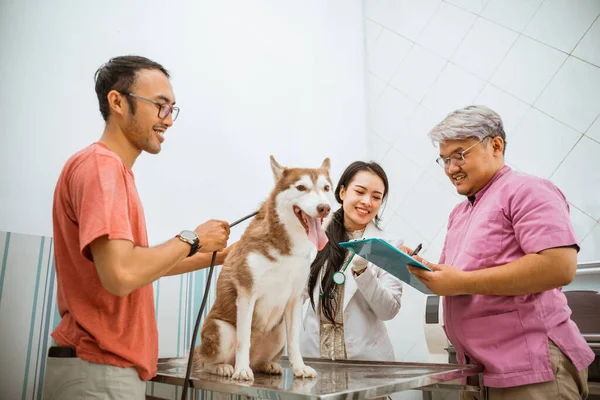 a male veteranian write down the medical check up result in front of a female veteranian, the siberian dogs and its owner