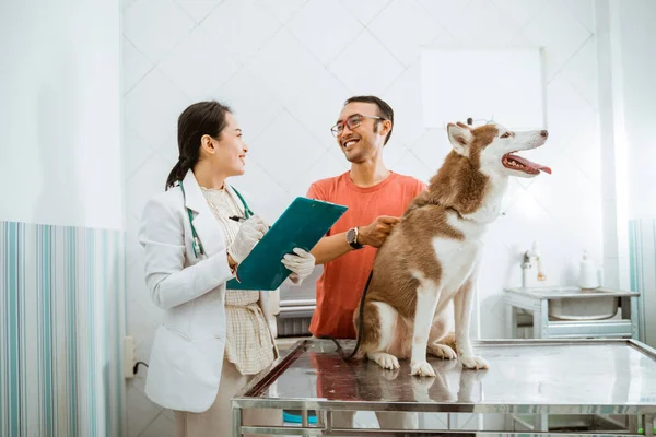 Dono Cão Siberiano Sorrindo Para Belo Veterinário Enquanto Segurando Laço — Fotografia de Stock