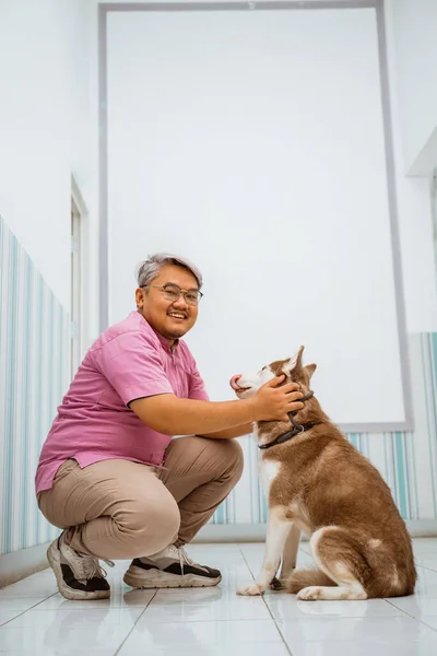Ветеринар Играющий Коричневой Сибирской Собакой Улыбающийся — стоковое фото