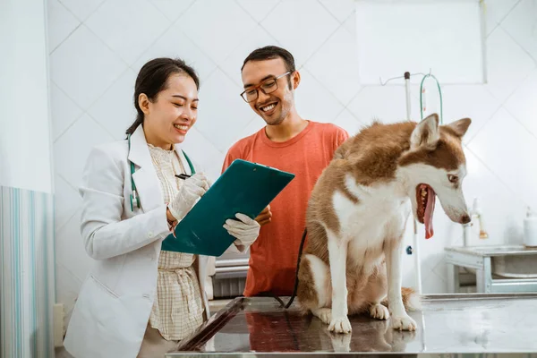 報告書に書かれている健康診断の結果についてシベリアの犬の所有者に女性の獣医が説明します — ストック写真