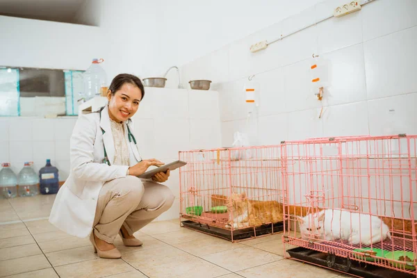 Egy Gyönyörű Állatorvos Guggolás Mellett Macskák Ketrec Mosolygós Miközben Ellenőrzi — Stock Fotó