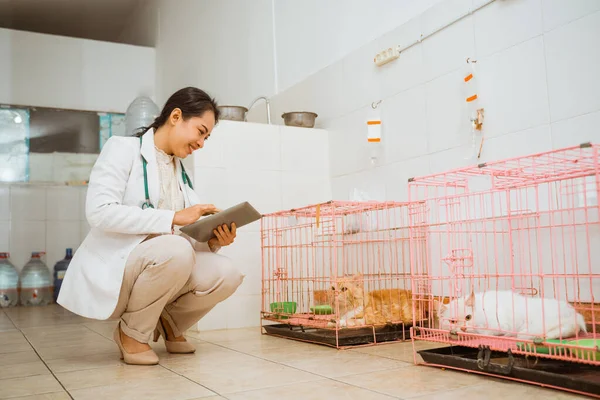 ペットクリニックで健康診断をしながら猫の檻の横にいるメスの獣医が — ストック写真