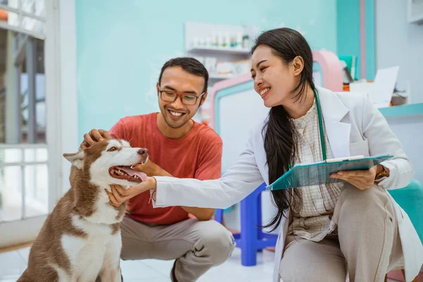 Belo Veterinário Acariciando Queixo Dos Cães Seu Dono Seu Lado — Fotografia de Stock